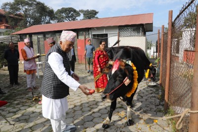  राष्ट्रपति पौडेलद्वारा गाई पूजा 